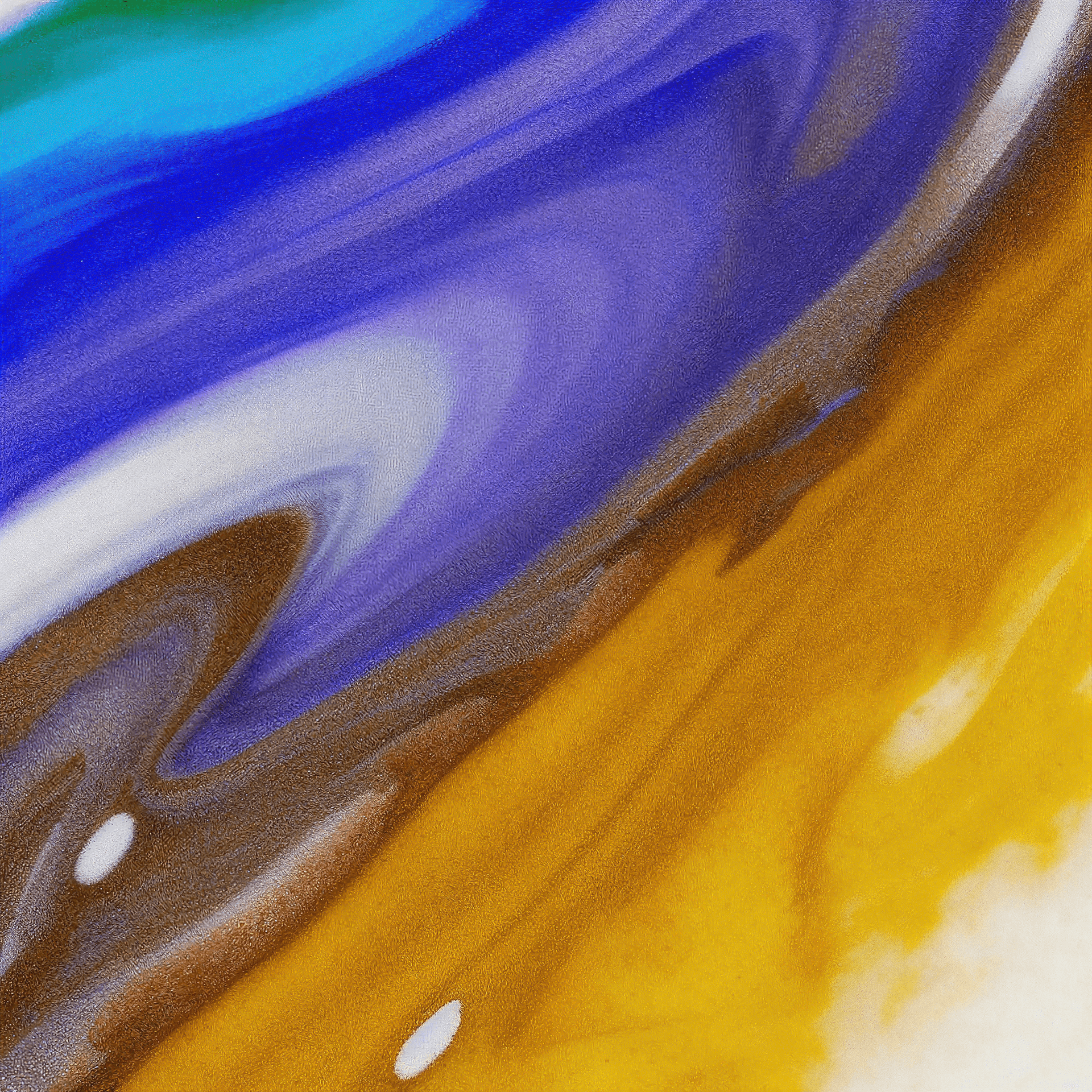 Frontend Developer - NeTürk